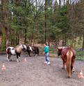 Reittherapie als Hilfe zur Regulierung von Nähe und Distanz